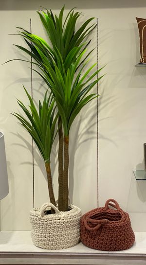 200cm Real touch yucca tree x - 592-143097